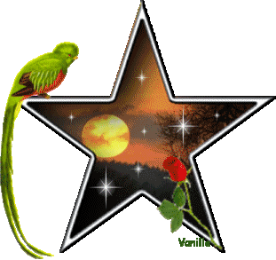 une etoile qui brille dans ma vie  